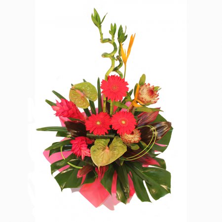 Be Bold! A touch of the tropics